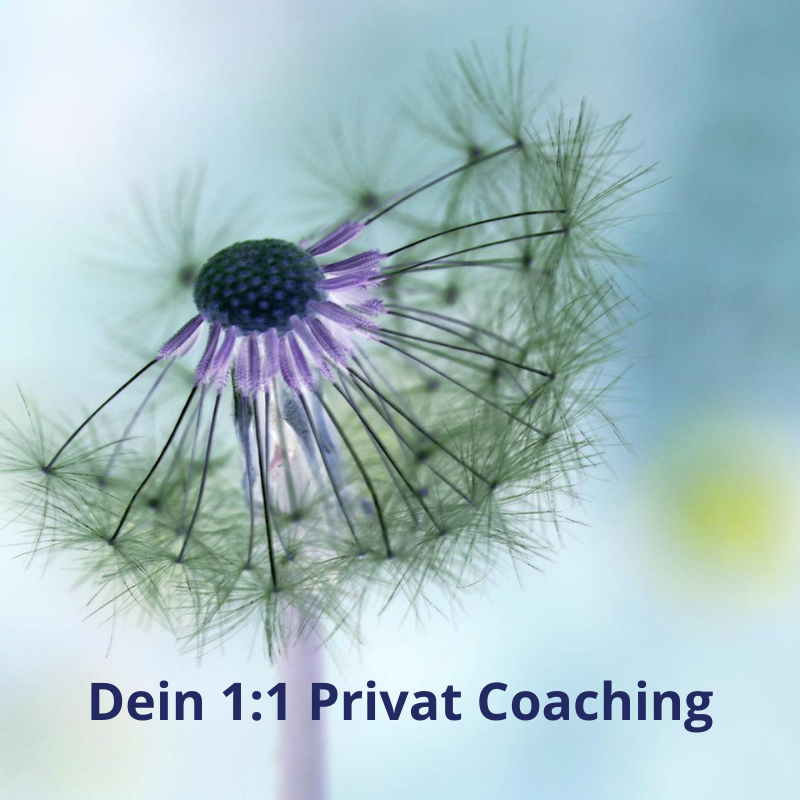 1:1 Privat Coaching